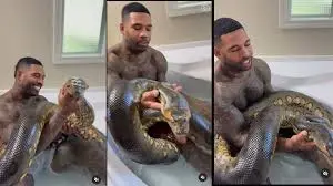 Man bathing with a giant python in a bathtub, appearing calm and fearless with the snake.