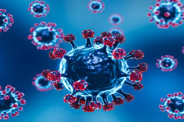 Covid-19 Cases in India #getrapidnews