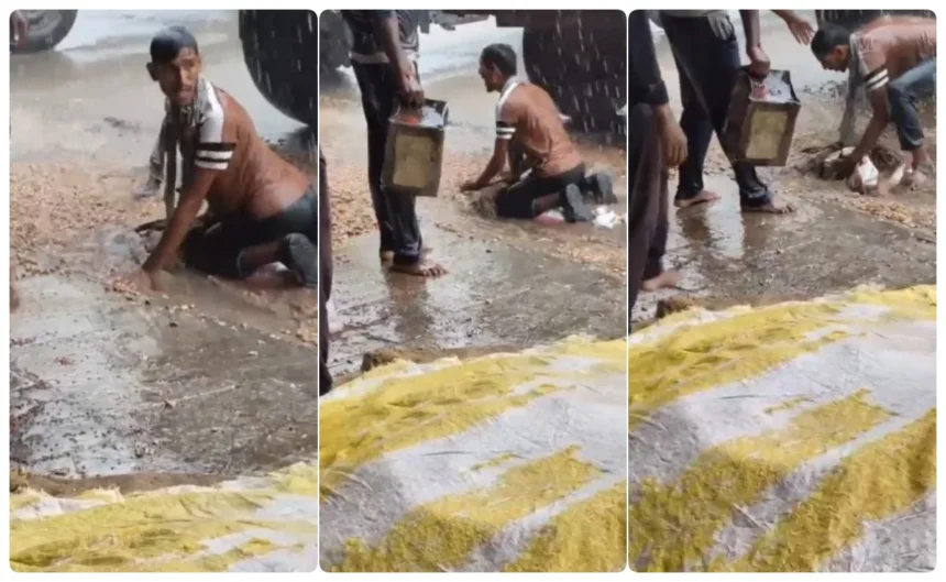 Maharashtra Farmer Rain : 6 Heartbreaking Moments That Moved the Nation